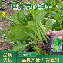 ľŲķNӲ̦N͟ļNֲ߲˴r@˲l