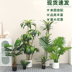 大型北欧シミュレーション緑植散尾葵旅人カンナビロード鉢植え高級着地装飾装飾装飾品