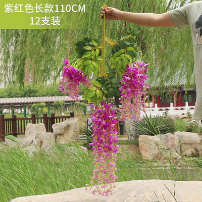 Rojo purpúreo largo ordinario