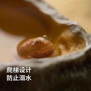 ���x����ʳ��ˮ�����ʯ�����،m�ת{����B���֬�쾰�ˮιʳ��