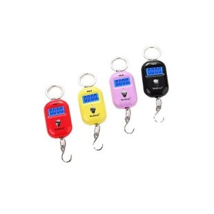 Weiheng Keychain-шкалы, которые масштабируют мини-электронные электронные названия WH-A21 Mini Electronic Scale