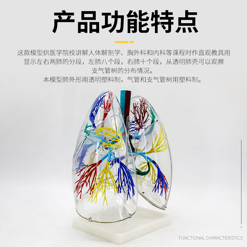 ��ģ��͸���ζν���ģ����������֧�������ṹ�����ϵͳ��ѧģ��