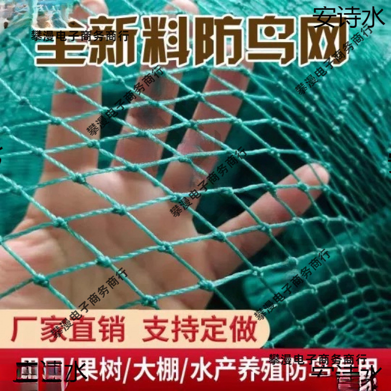 防鸟用网果树樱桃葡萄大棚果园农用防鸟网鱼塘养殖天网尼龙老化