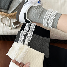 pٽz߅mŮQl@ݏmͲm|͸Ѷm