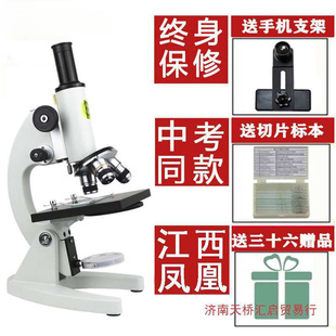 ���P�P��С�W����W�ЌW��������ͯ�ƌW02�п�XS���I�����@΢�R