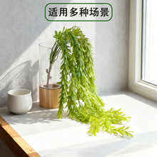 ���洹���Gֲ�������Կ͏d�����b����ֲ���´��~��