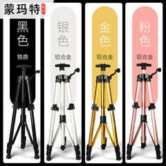 Montmartte Aluminum Easel Student Sketching Easel, Foldable, Lightweight, Portable, Adjustable, Extendable Drawing Easel