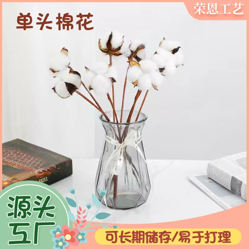 单支棉花棉花干花棉花花束仿真棉花圣诞花束圣诞装饰棉花棉花干花