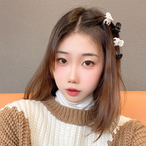 A Must-Have High Ponytail Clamping Tool in the Style of Zhou Yangqing - Simple Black Mini Side Hair Clip with Japanese-Skinned Hair Accessory