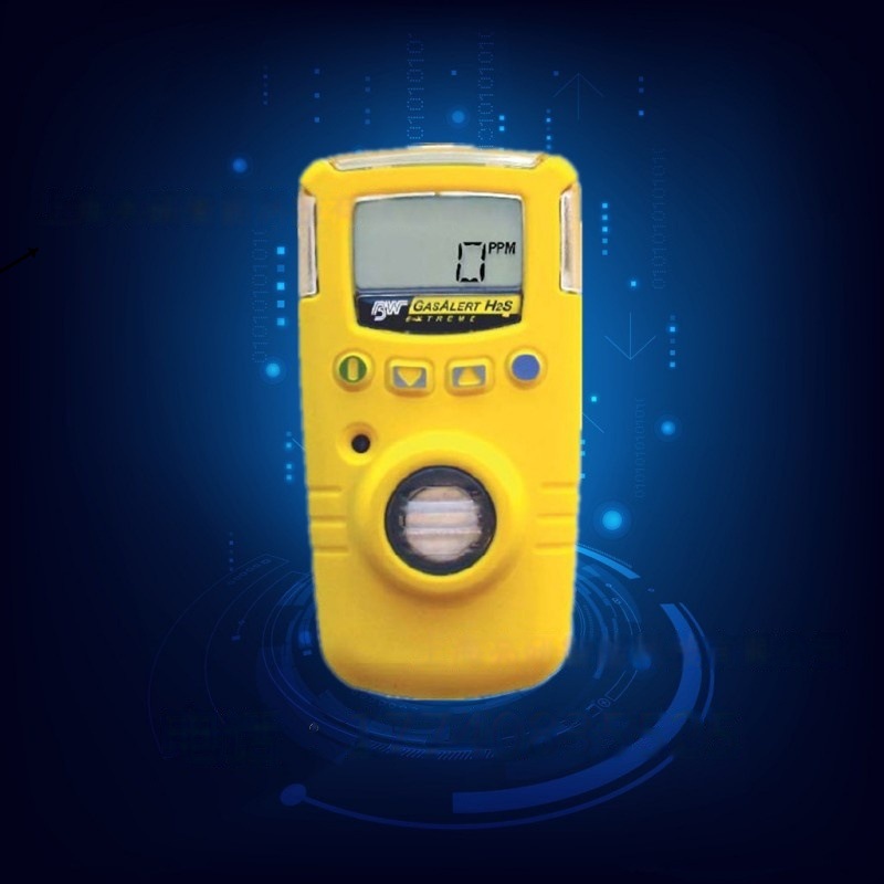 加拿大BW GAXT-S/SO2便携式二氧化硫气体检测仪 气体分析仪