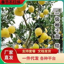 һlӘļSĵtRӘϷNֲͥԺ