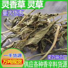 灵香草 中药材批发零陵香 灵草 满山香产地直发香灵草 灵香草