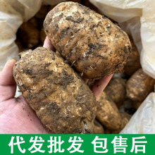 ͨС݉rͨҰҜ500gհb