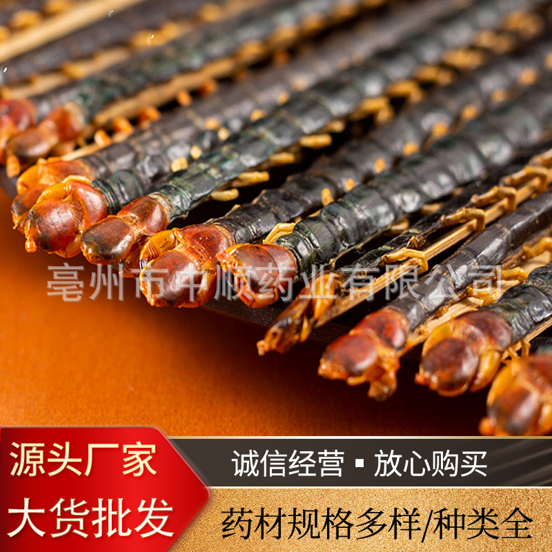 中药材蜈蚣批发蜈蚣干整条蜈蚣黑色蜈蚣红头蜈蚣规格齐全产地货源|ms
