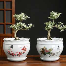 批发创意国风陶瓷花盆 带托盘透气多肉绿萝花盆 家用桌面发财树文
