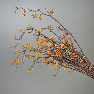 ���滨�����ٴ�֦�lؔ����ʽ�͏d�ٻ��廨�b[���zӰ�������ٹ�