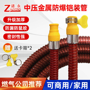 Household armored gas pipe liquefied gas pipe thickened explosion-proof medium and high pressure gas pipe natural gas metal stove pipe