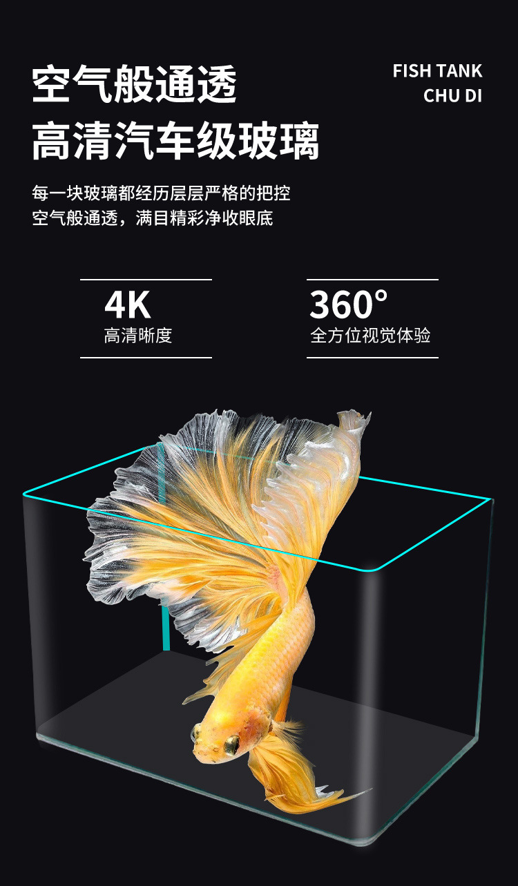 79e9c11c-a0b0-4b82-a869-bc0146b2cadd.jpe