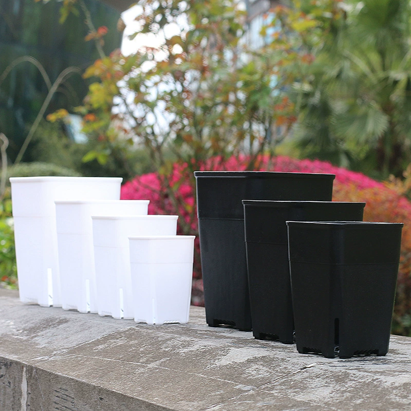 Квадратный горшок Вьентьян Мясистый цветочный горшок Пластиковое боковое отверстие для утечки Двенадцать рулонов Мясистый старый ворс Дышащий 2022 Новый маленький цветочный горшок