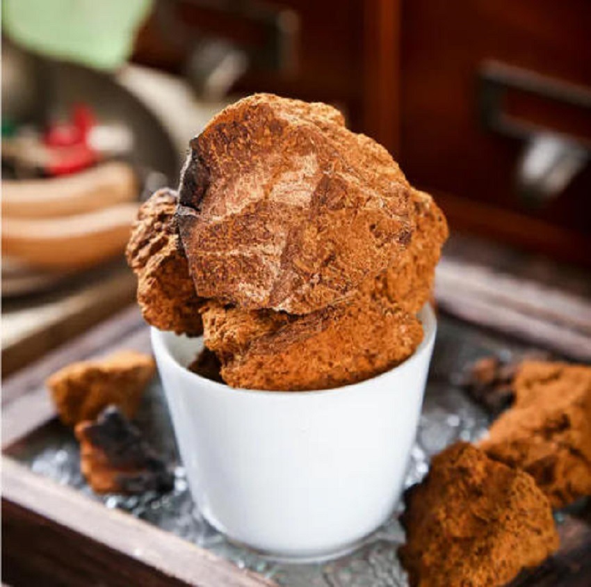 Wild Yellow Chaga Mushroom Herbal Tea Bai Hua Rong Natural Birch Conk for Daily Brewing and Cooking quality and texture