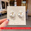 Silver needle, fashionable earrings, silver 925 sample, internet celebrity, wholesale