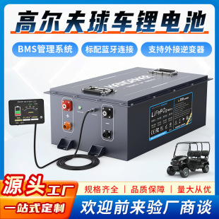 ߠ܇늳48VF60С72V96V݆늄܇늳