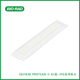 ����Bio-Rad  1651838  PROTEAN II XL�ᣬIPG�l����ʽ