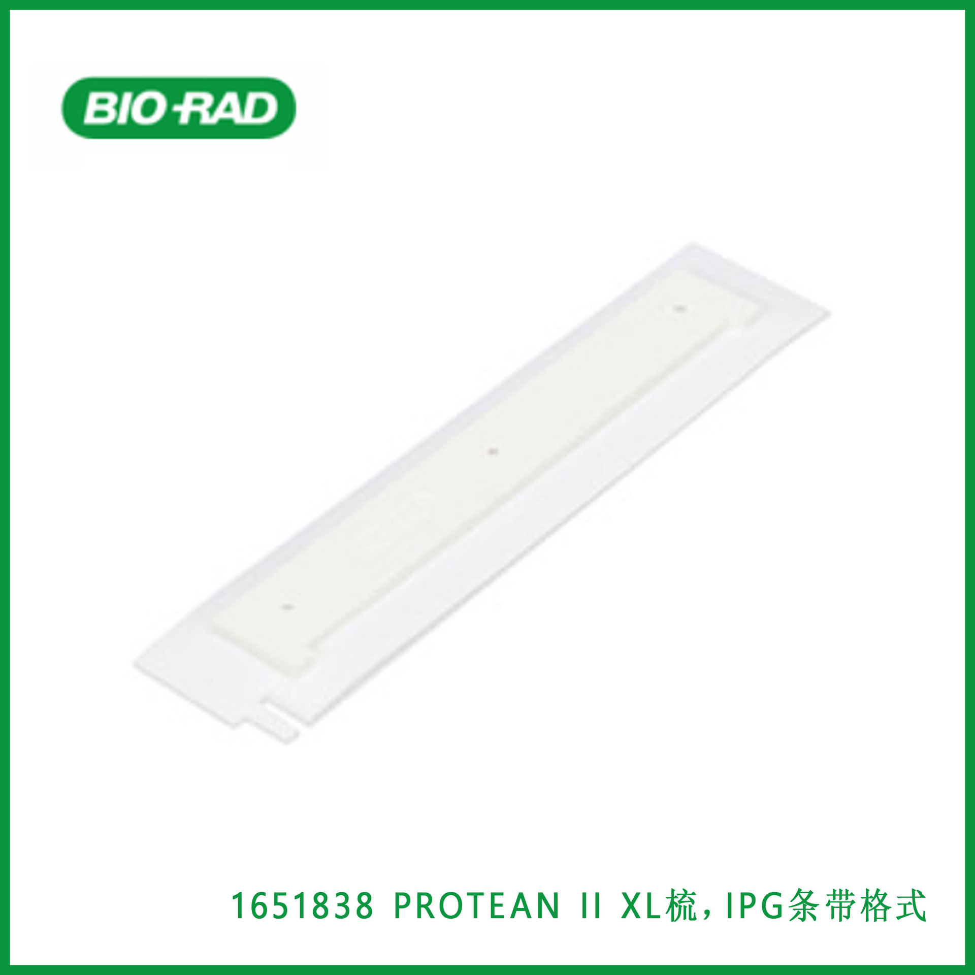 伯乐Bio-Rad  1651838  PROTEAN II XL梳，IPG条带格式