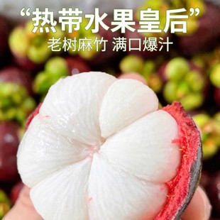 ��S 6A�ش���M��̩��ɽ�����r����5���r��ˮ�����񮔼�һ��10��