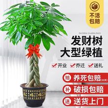 lؔ;Gֲ҃ȺBߘk҆w_I辰͏d