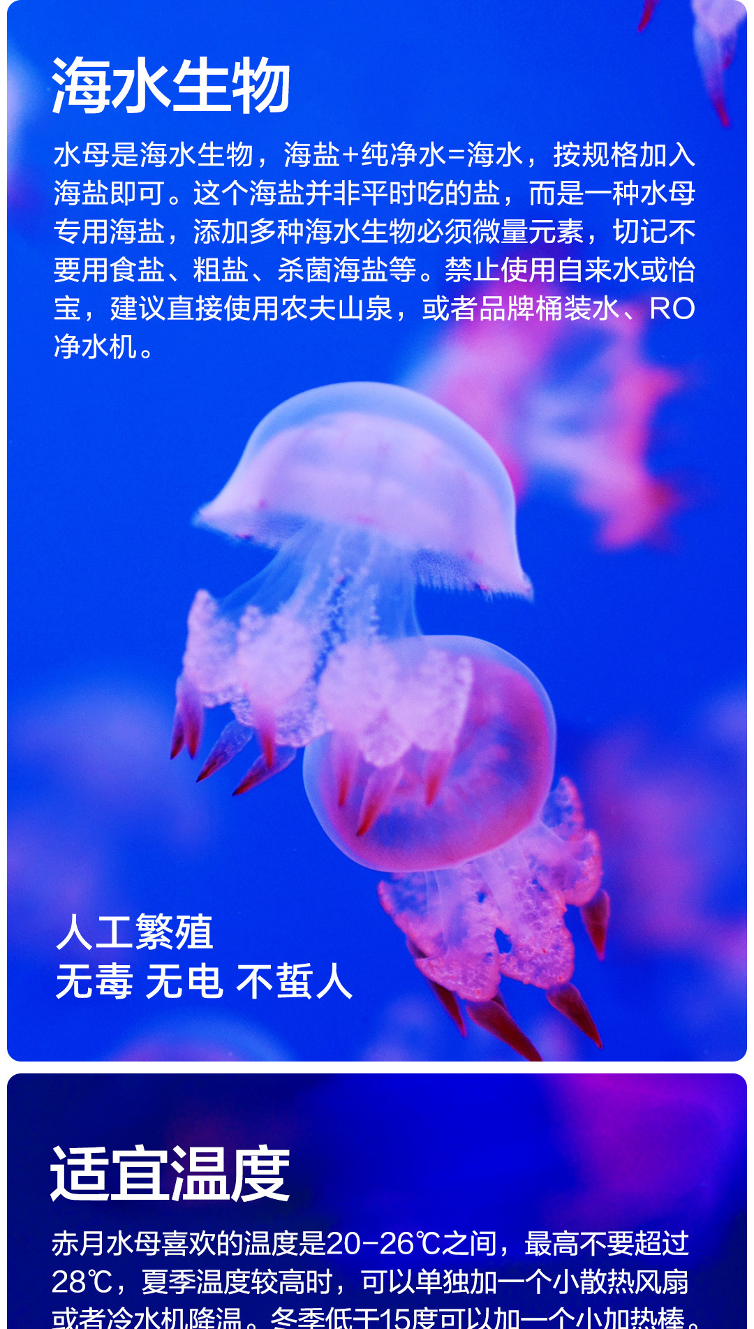 摆摊水母缸桌面缸10L展示缸水族生态鱼缸赤月海月活体地摊养殖缸