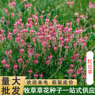 �o�²ݼt���ݷN���ͺ��ͺ��}�|���������^�p�����G�ʼ������ͷN��