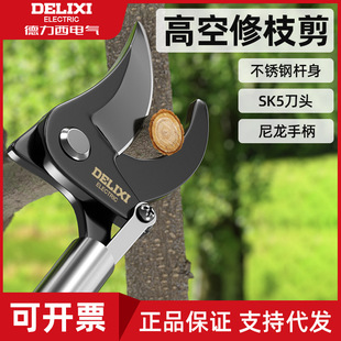 ������늚�߿���֦�����P䓿���s��֦��������֦�����@�ֈ@ˇ��
