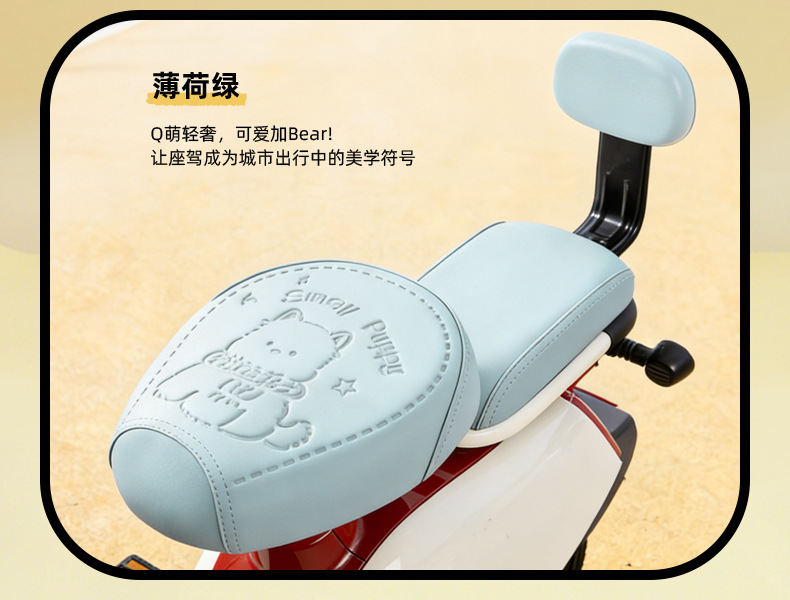Simple Style Electric Vehicle Seat Cover, Waterproof and Sun-Proof, Suitable for Small Electric Bikes, Compatible with Yadea, Tailg, and Aima