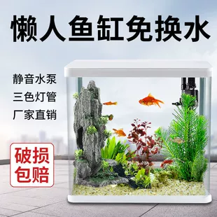 Product Media
