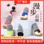 多色透气弹力代发狗鞋子