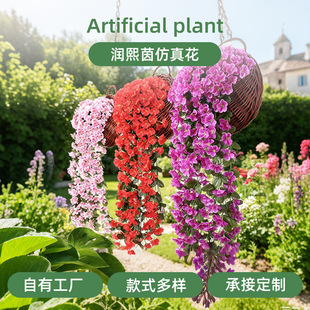 ��������÷�ڒ���@�҃����b��쾰��c�Ƶ��T�^����ֲ��ٻ���