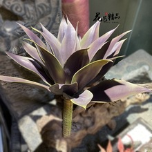 �J�C�����m��Ʒ�|�������ֲ��ٻ��쾰�b�Ʒ�ҾӔ[�Ż����g����