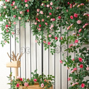 ����ߙnõ�廨���Nޱ�ٻ��ٗl�ڒ컨�仨�������ړ�늾��p�@�b�