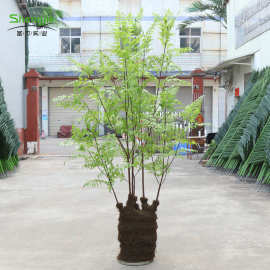仿真蕨树马尾蕨手感蕨树家居客厅办公室绿植盆栽北欧植物绿植树
