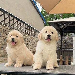 ���N��ë��Ȯ���w������ȮѲ��Ȯ�o�lȮ����Ȯ���ﹷ��������