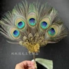 Peacock feather fan single sided