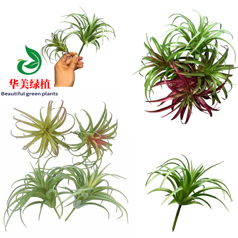 仿真多肉植物 空气草凤梨草 微景观植物墙装饰小盆栽假花塑料植物
