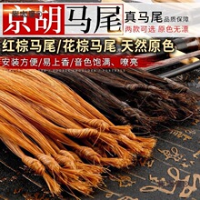 �����Rβë����������Q��ë���Rβԭɫ�oƯ�t���Rβ/������̫��