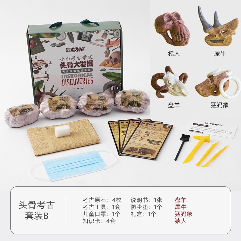 [과학 대중화 교육] 해골 시리즈 B 세트 (16 개의 전체 상자를 촬영하는 것이 더 비용 효율적입니다)