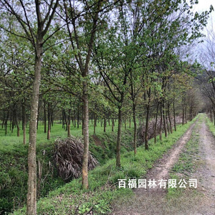 ��ľ���� �G����ľ ���Ǘ� �G��������ľ �a�؃��݃r��