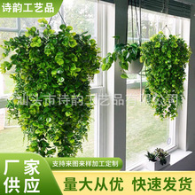 �羳���R�d�������Gֲ�A�~�ȼ����ڒ��ٗl���������Ҿ��bS��