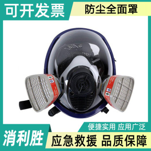Factory wholesale dust-proof full-face chemical industry pesticide spray paint formaldehyde-proof filter fire mask