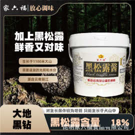 云南黑松露酱（黑松露18%）意面牛排 即食 家用 商用餐饮批发 工