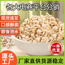 ���l�ŷ���޲���׳�������s�Z�_����ʳ�������b��޲�ױ��׻����l